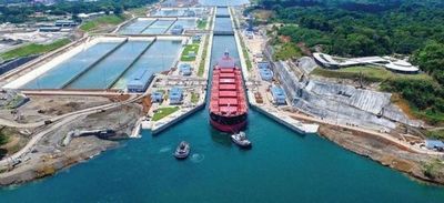 Canal de Panamá establece nueva vía para evitar choques entre buques y cetáceos