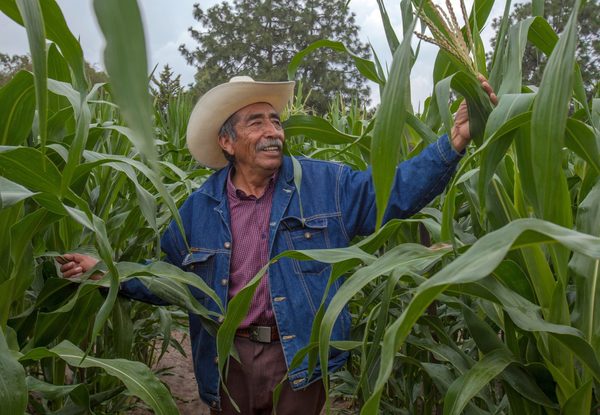 Los socios del T-MEC pactan luchar contra cambio climático en la agricultura - MarketData