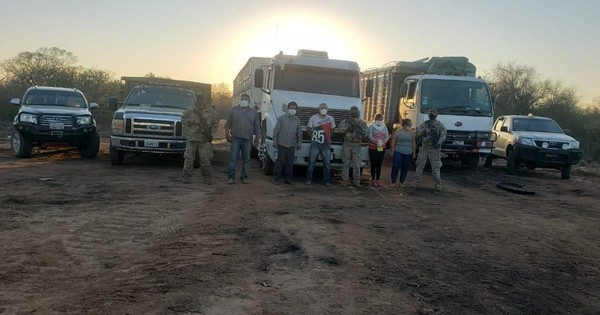 La Nación / Detectan presunto tráfico de químicos precursores de cocaína para Bolivia