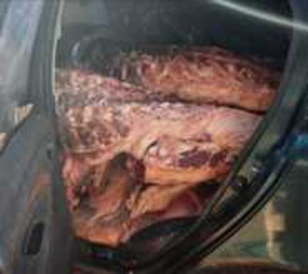 Chaco’í: Incautan 1.000 kilos de carne vacuna de presunto contrabando - Paraguay.com