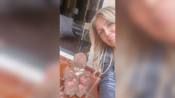 Sanie, orgullosa de su mega batata: "Creí que era planta ornamental"