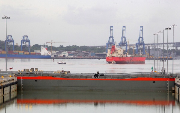 Canal de Panamá delimita tráfico y velocidad de buques para cuidar ballenas - MarketData