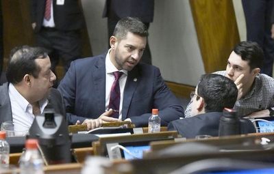 Diputados cartistas y aliados evitarán que la Seprelad controle a los  clubes y tabacaleras - Nacionales - ABC Color