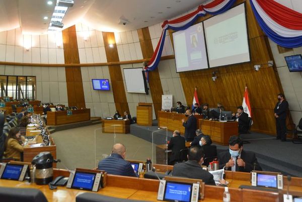 Convocan a diputados suplentes para ocupar bancas de Salustiano Salinas y Rodríguez - Nacionales - ABC Color