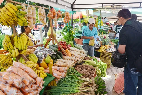 Feria de la Agricultura Familiar Campesina se realizará este jueves en San Lorenzo y Limpio