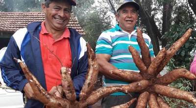 Agricultura sostenible y diversificada en el sur del país aumenta la productividad en finca