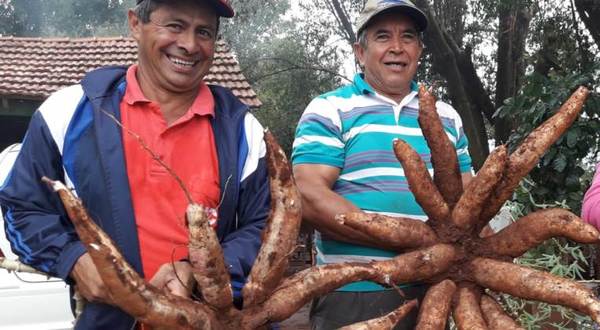 Agricultura sostenible y diversificada en el sur del país aumenta la productividad en finca