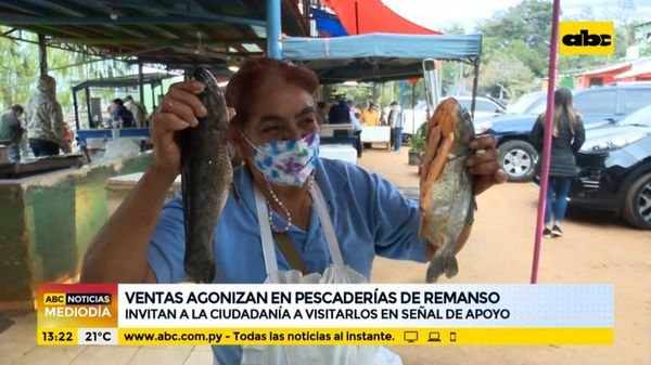Invitan a comprar pescados en Remanso ante complicada situación económica por bajante del río - Nacionales - ABC Color