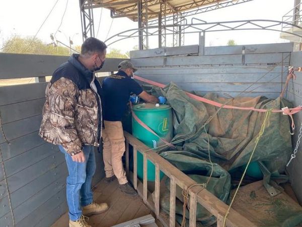 Cinco personas fueron detenidas tras incautación de precursores químicos