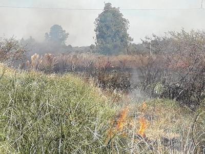 Irresponsables comienzan con quema de pastizales – Prensa 5