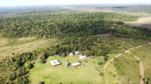 Diario HOY | Más de un centenar de personas invadieron la Reserva Mbaracayú