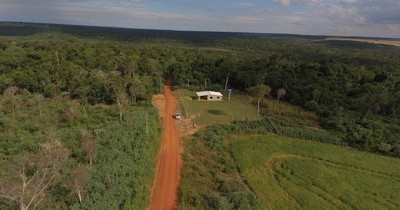 La Nación / A 30 años de convertirse en reserva natural, el bosque Mbaracayú está en peligro de invasión