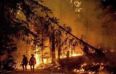 California: evacuan un pueblo entero ante el avance de las llamas