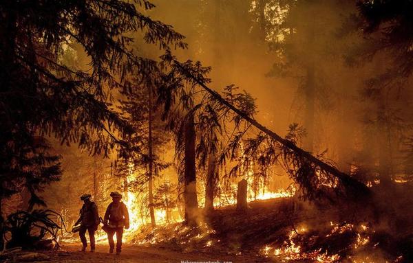 California: evacuan un pueblo entero ante el avance de las llamas