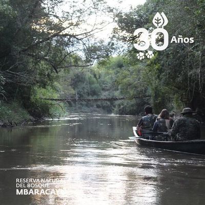 Alertan por invaciones en la Reserva Natural del Bosque Mbaracayú - Nacionales - ABC Color