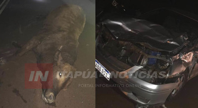 NUEVAMENTE UNA VACA EN LA RUTA PROVOCA UN ACCIDENTE DE TRÁNSITO