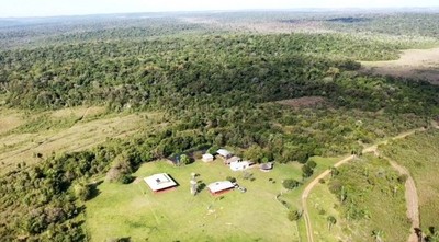 Más de 100 personas invadieron la Reserva Mbaracayú
