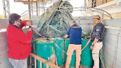 Procesados por operativo en el Chaco
