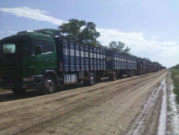 Transportistas de ganado piden mayor control ante la informalidad · Radio Monumental 1080 AM