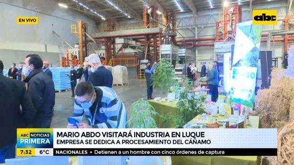 Mario Abdo visitará industria de cáñamo en Luque - ABC Noticias - ABC Color