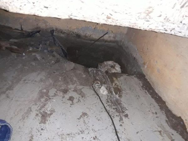 Descubren túnel en cárcel de Itapúa por donde pretendían fugarse 130 miembros del PCC - La Clave