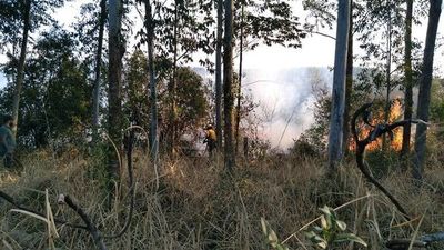 Cuantiosos daños económicos por incendio en San Juan Nepomuceno - Nacionales - ABC Color