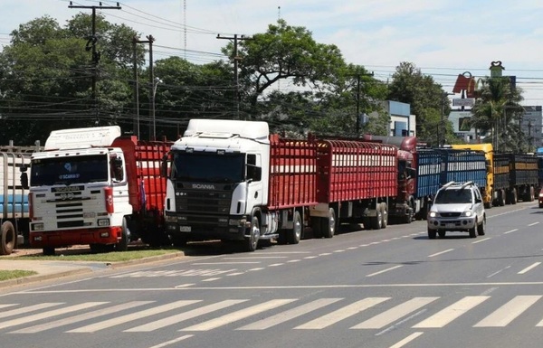 Transportistas de ganado sugieren que camioneros prioricen 'formalización' antes que fijación de precio de flete