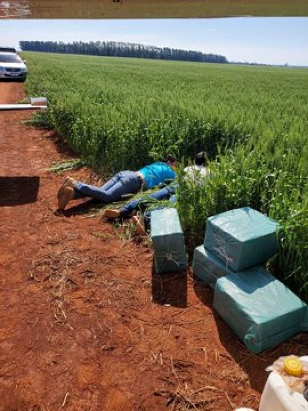 Caen bolivianos con 200 kilos de supuesta cocaína y una avioneta en Alto Paraná