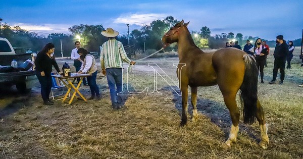 La Nación / Ultiman detalles para la Gran Marcha Criolla que arranca mañana