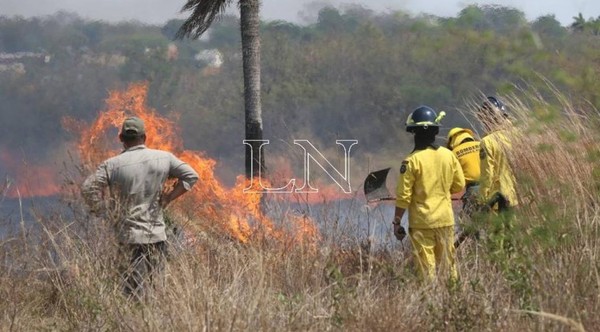 Articulan acciones ante sequía y posibles incendios forestales