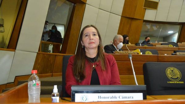 Asumieron dos nuevos diputados