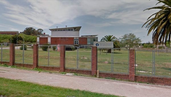 Un grupo de científicos descubrió una variante uruguaya del coronavirus