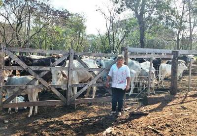 Pequeña productora de ganado de Canindeyú fortaleció su pastura con apoyo del CAH | .::Agencia IP::.