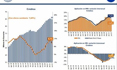 Mercado crediticio sigue con altibajos