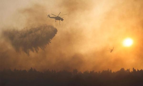 Los incendios devoran el Mediterráneo oriental avivados por el calor extremo – Prensa 5