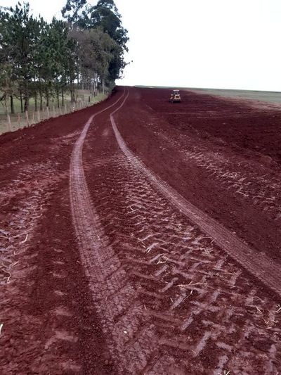 Colonos construyen camino y temen que en la Municipalidad de Otaño figure como obra propia - Nacionales - ABC Color