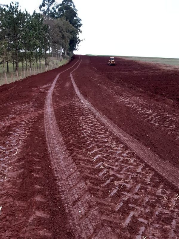 Colonos construyen camino y temen que en la Municipalidad de Otaño figure como obra propia - Nacionales - ABC Color