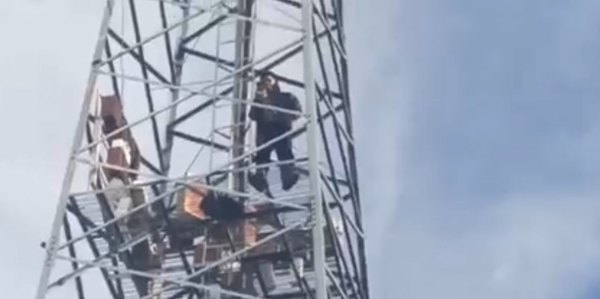 Crónica / [VÍDEO] ¡Se subió a una antena porque quería hablar con Elon Musk!