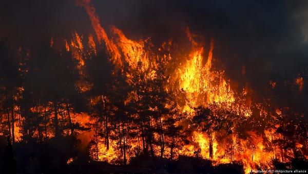 Los incendios sin precedentes se extienden sin control en Grecia y amenazan a la antigua Olimpia | .::Agencia IP::.