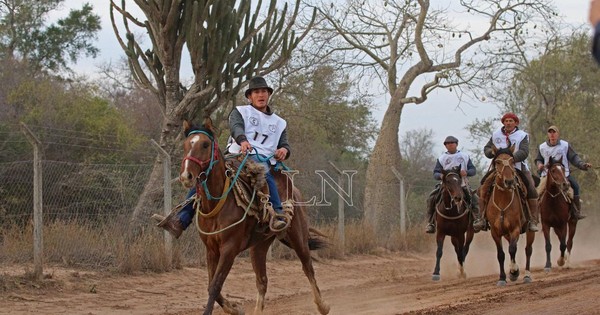 La Nación / Competencia de caballos criollos genera buena expectativa de remate
