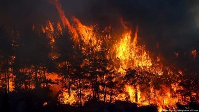 Incendios sin precedentes se extienden sin control en Grecia | OnLivePy
