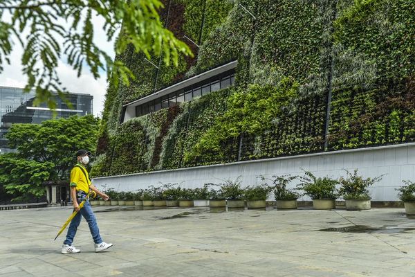Ciudades cada vez más verdes - Estilo de vida - ABC Color