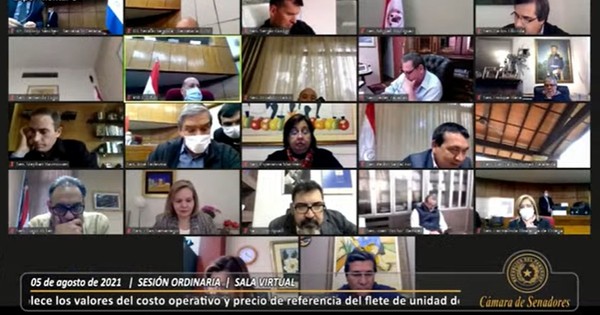 La Nación / Tenso debate en el Senado donde tratan ley de camioneros