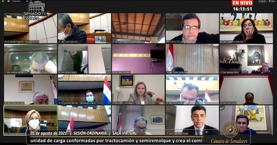 La Nación / Con 23 votos el Senado debate en estos momentos la ley de fletes