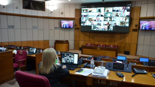 Cámara de Senadores aprueba en general ley de flete