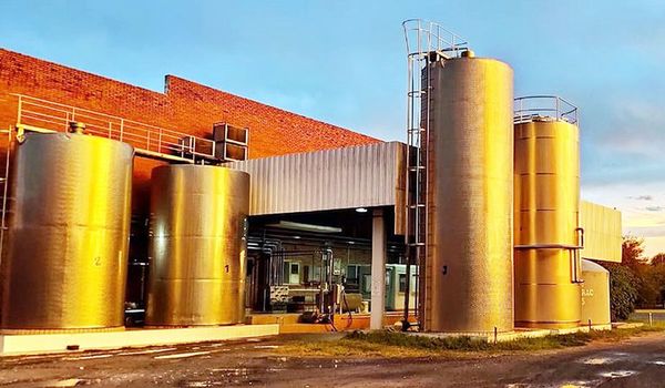 Cierre de ruta podría resultar en pérdida de 70.000 litros de leche - Nacionales - ABC Color