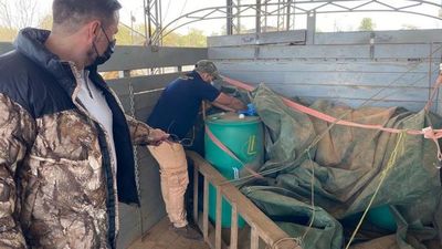 Sargento y oficial de la FFAA caen por tráfico de precursores