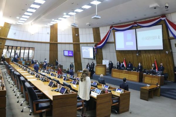Aprueban otorgar al CODI G. 15.000 millones - Nacionales - ABC Color