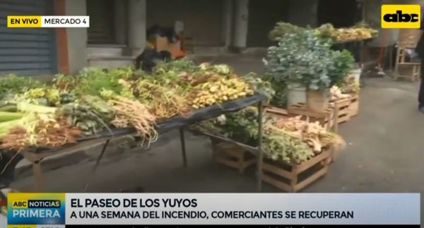 Como el “Ave Fénix”, el “Paseo de los Yuyos” se levanta - Nacionales - ABC Color