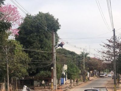 Un “spiderman” electricista sorprendió al barrio Palomar - Nacionales - ABC Color